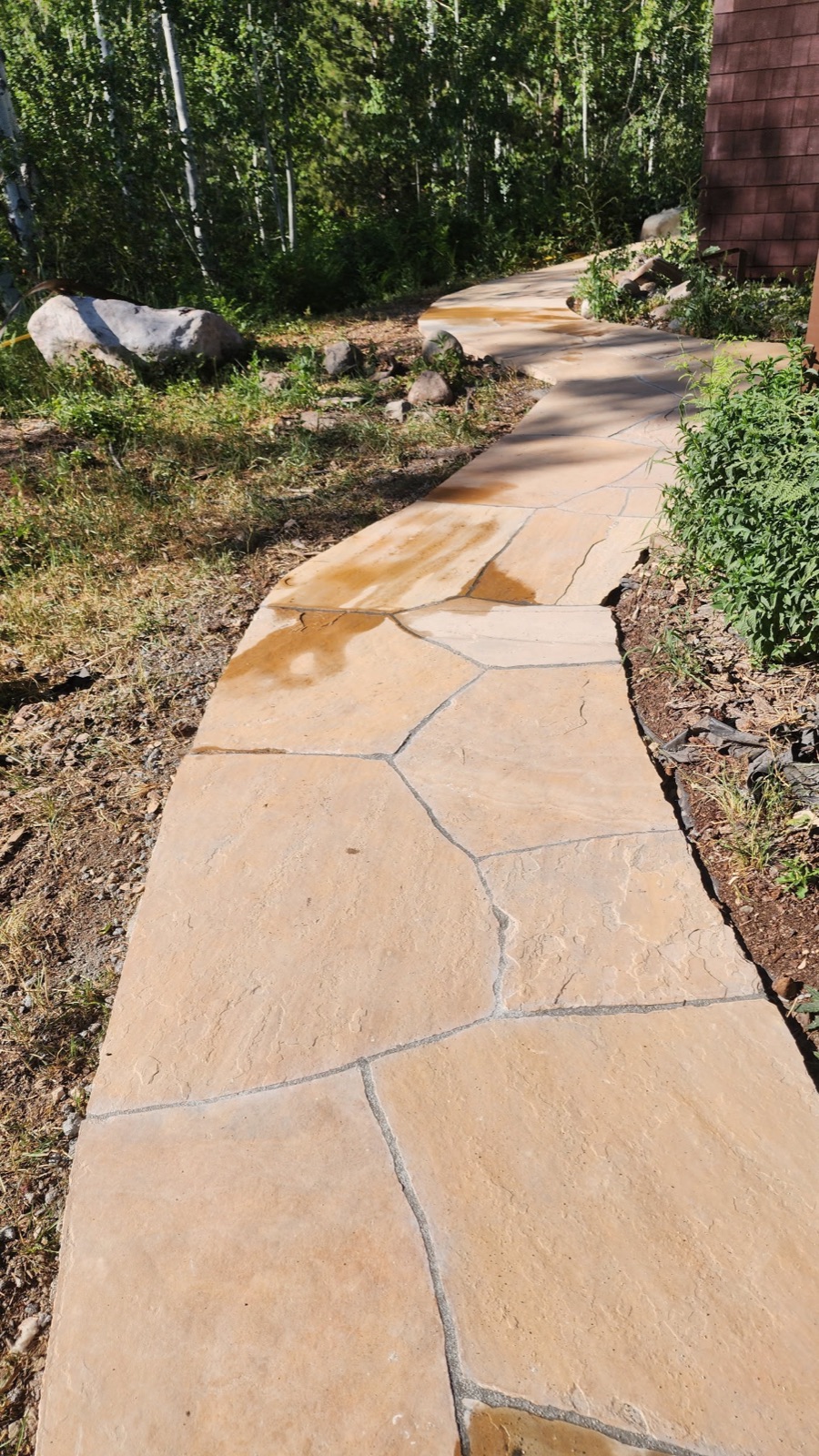 Winding flagstone path through aspens with river-rock edging